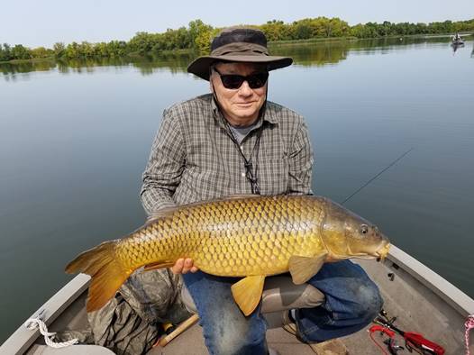 Bowfishing for carp in Minneapolis-St. Paul area lakes